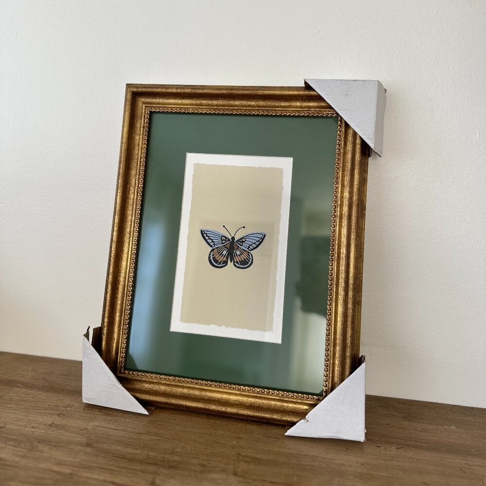 Rifle Paper Target Butterfly Art Frame
